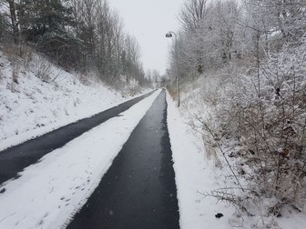 Fotografie făcută de pe bicicletă, în drumul său spre muncă