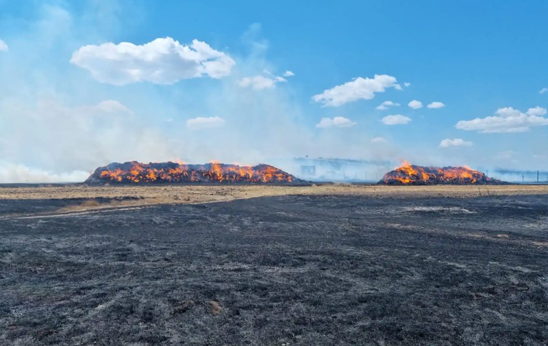 Incendiu de vegetație în Tulcea, declanșat de tragerile din poligonul de la Babadag. Au ars sute de hectare