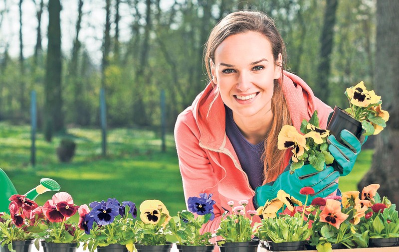 Plantează panseluţe la ora prânzului! Află ce aşteaptă de la tine, la sfârşit de martie, şi celelalte plante din casă şi din grădină