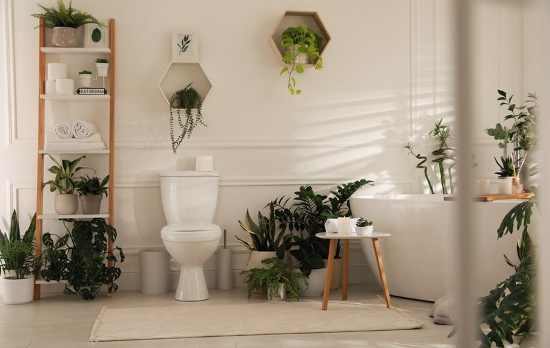 Plante de apartament care se potrivesc în baie