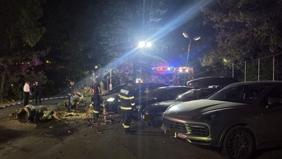 copac-cazut-4-masini-lux-bucuresti