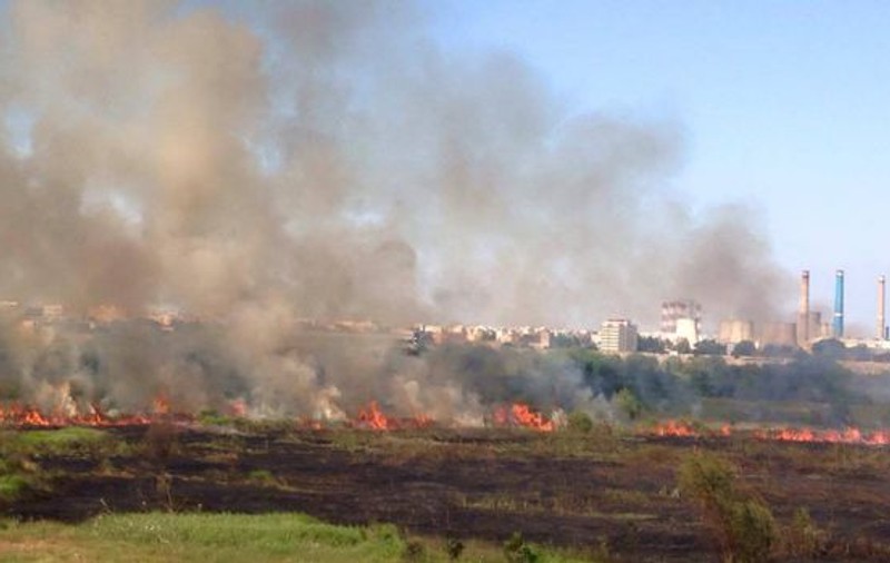 VIDEO. Incendiu în Delta Văcărești. Un hectar de teren a fost cuprins de flăcări
