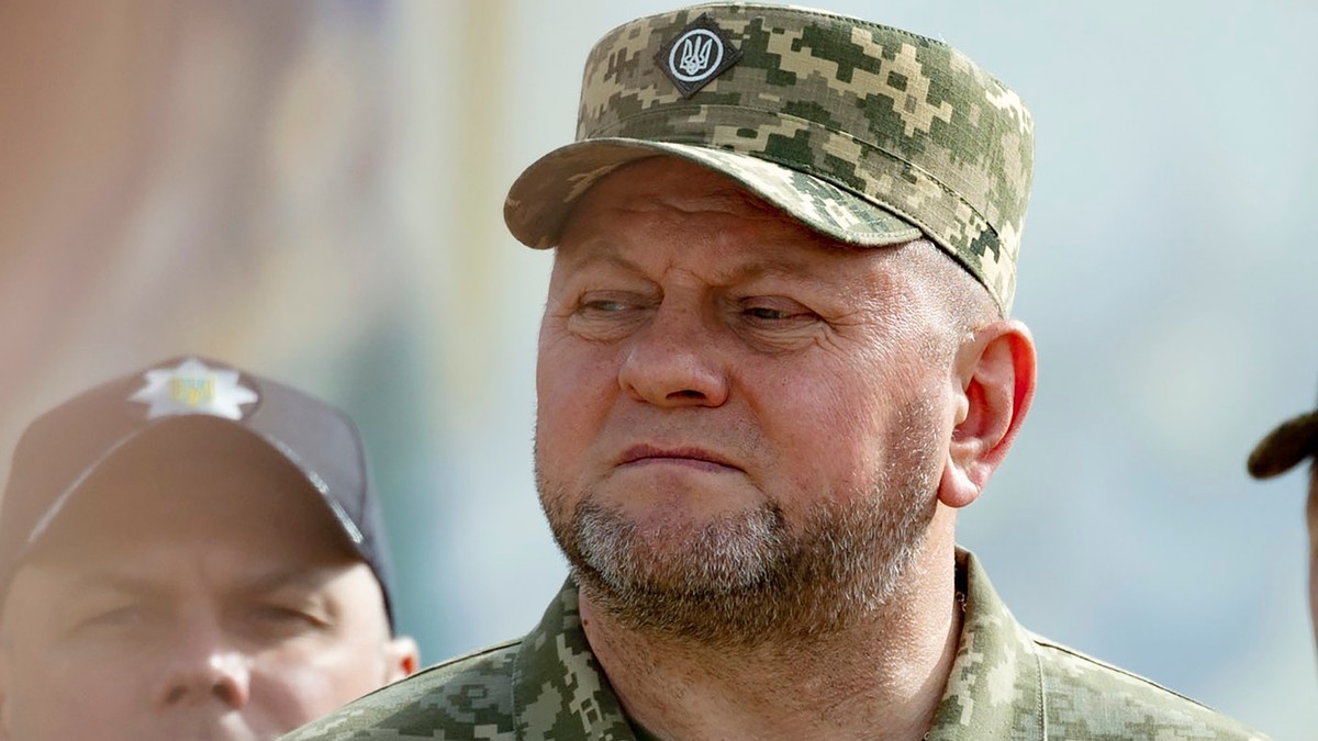 Generalul Valeri Zalujnîi Foto: Profimedia