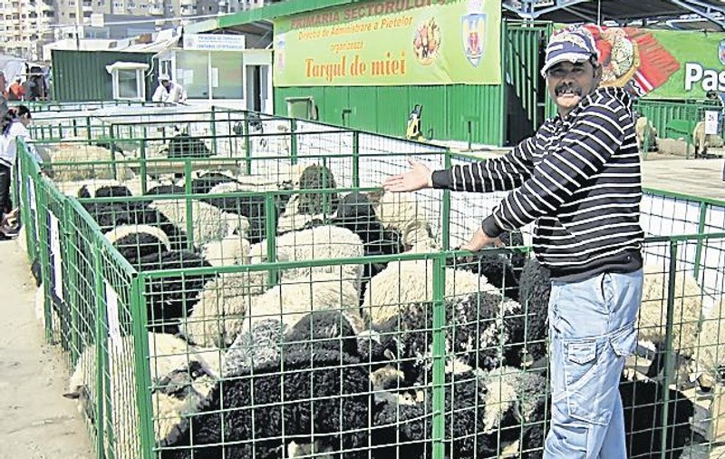 Bucureşteni, haideţi la miei, la piaţa Apărătorii Patriei!