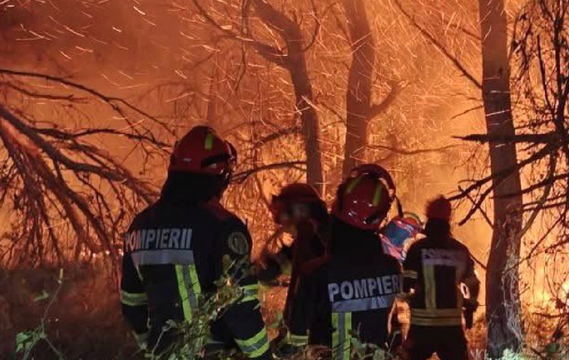 Pompierii români se luptă cu incendiile din Franța. Emmanuel Macron a mulțumit României pentru sprijinul acordat