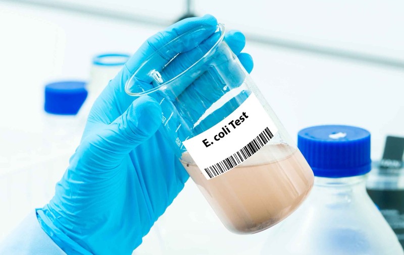 Apă cu E.coli în Târgu Secuiesc: DSP Covasna confirmă bacterii periculoase în fântânile din oraș, ce interzice legea