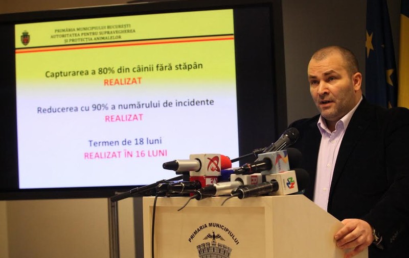 Numărul oamenilor mușcați de câinii fără stăpân s-a redus cu 90%