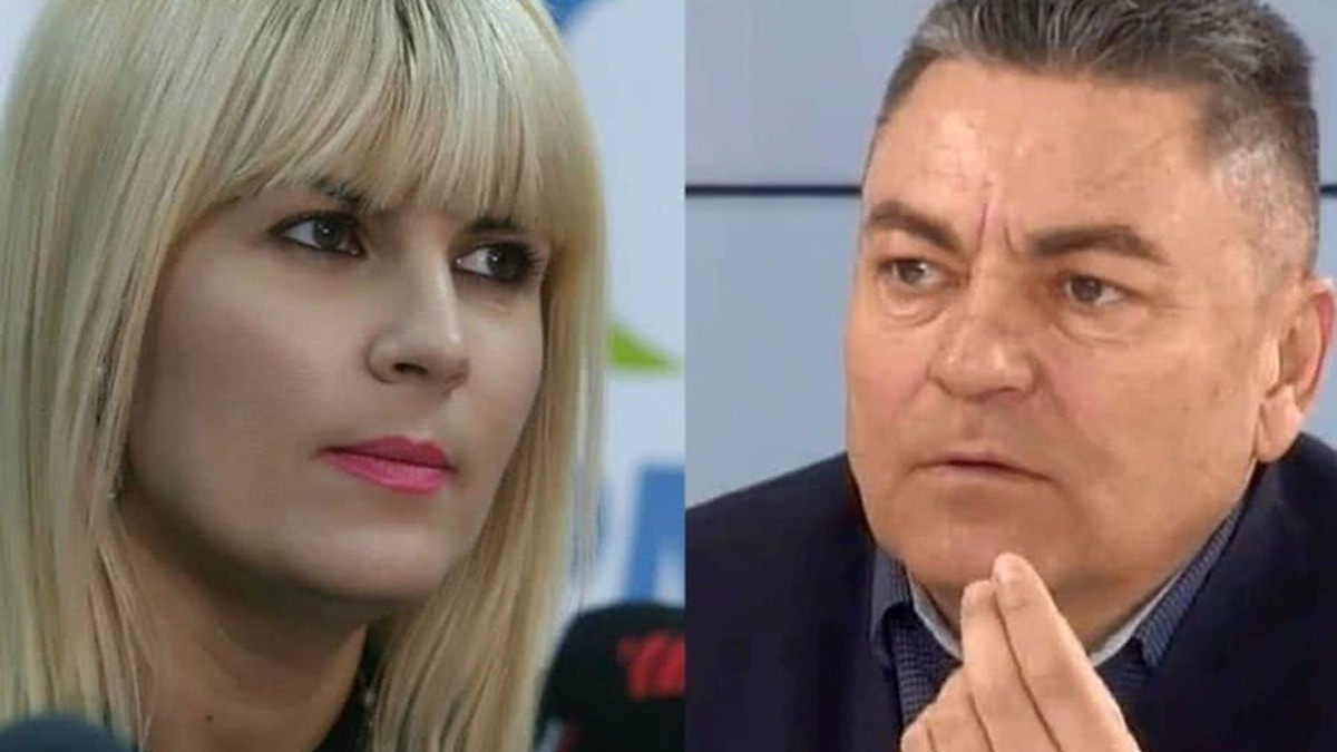 Ilie Stan, despre relația cu Elena Udrea