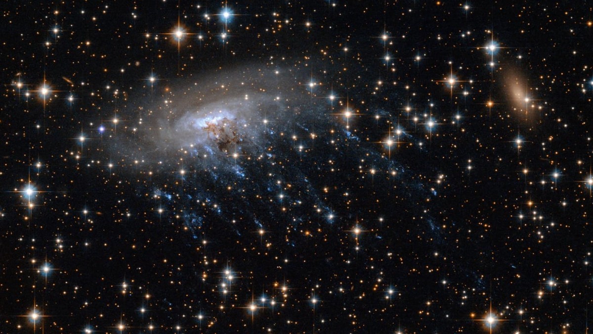 Cum arată o galaxie meduza