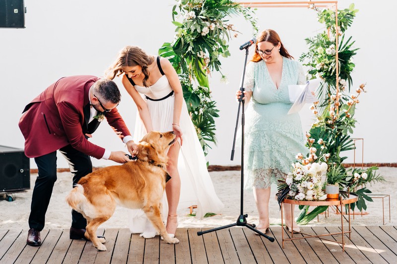 Whisky, câinele familiei, a adus inelele la nunta Georgianei cu Alex. Foto: Feather Photography