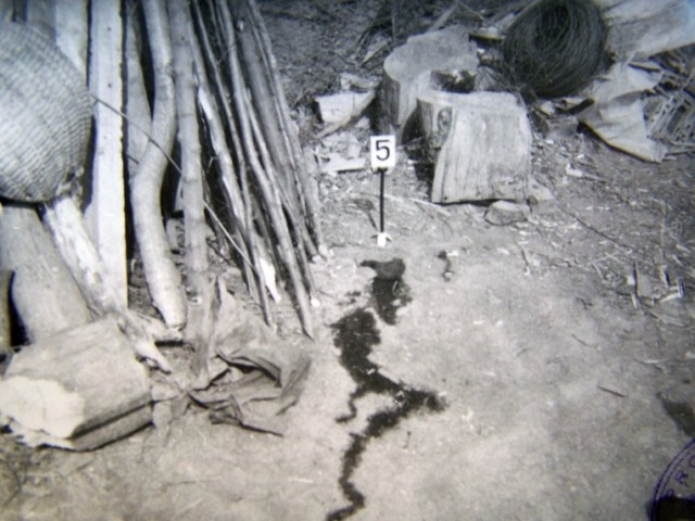Arhiva foto