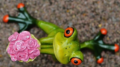 idei cadouri mauzante valentine s day