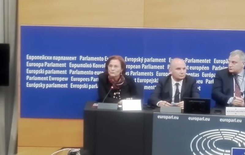 VIDEO/ Cum a încercat Maria Grapini să explice în engleză problemele șoferilor din România: „Nu au suficient șofer". Imaginile au devenit virale