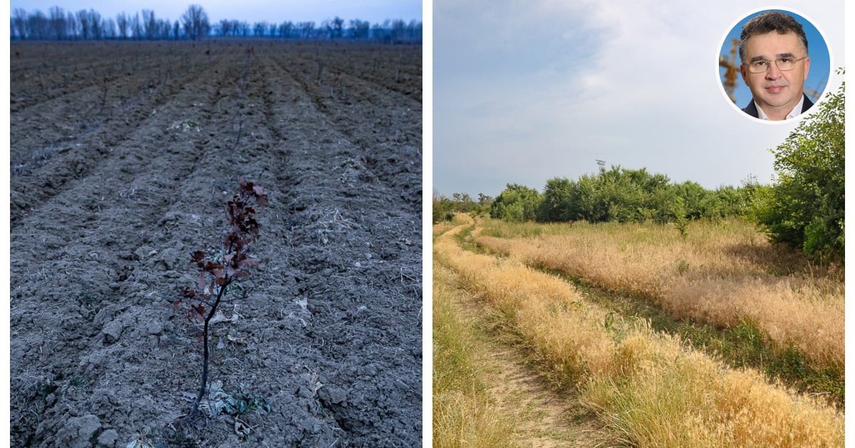 Colaj realizat din două fotografii cu Parcul Memoriei Naționale în 2021 și 2026, iar în medalion mic se află capul lui Marian Oprișan.