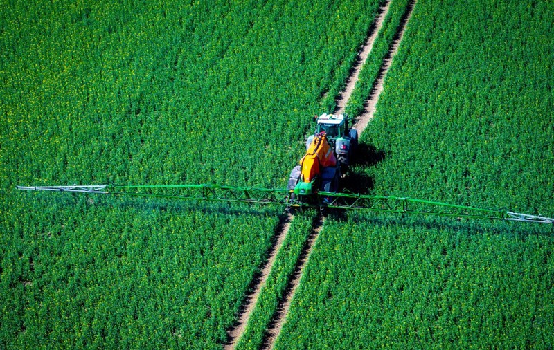 Fermierii pot din nou să folosească bălegarul ca îngrășământ, însă Comisia Europeană le impune o condiție