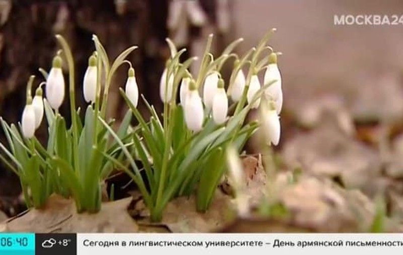 Un deputat rus a identificat cauza iernii fără zăpadă din Rusia: ”Americanii-s de vină”