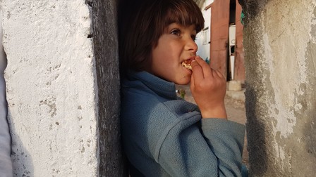 Arhiva foto
