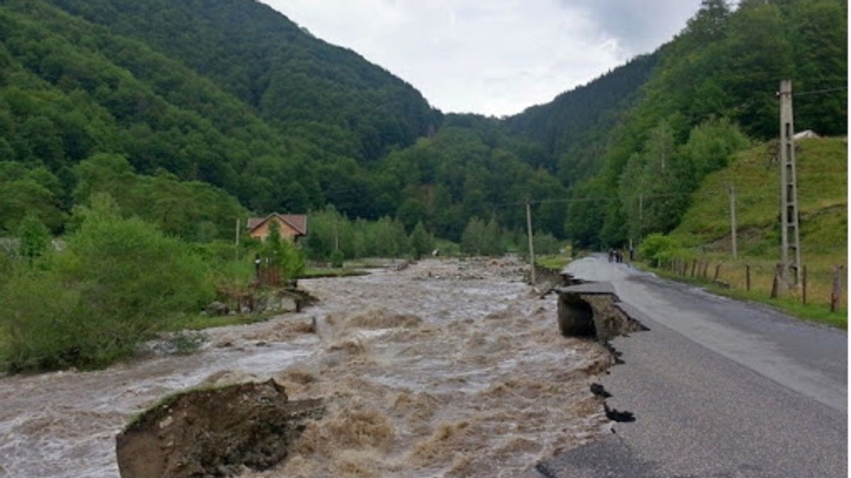 Arhiva foto