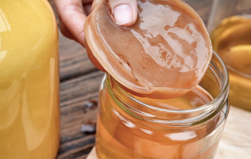Kombucha e pe val. Ce este ciuperca kombucha și ce beneficii are?