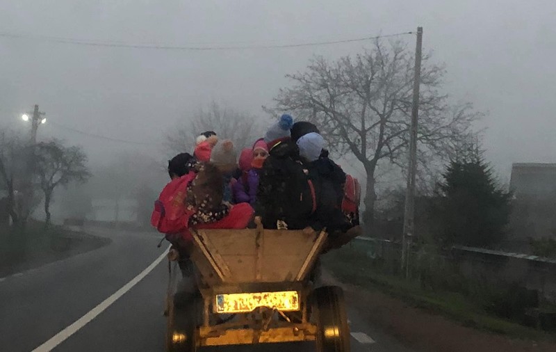 Copiii sunt duși la școală cu căruța într-o comună din Bacău! De ce nu pot beneficia de microbuzul școlar al localității