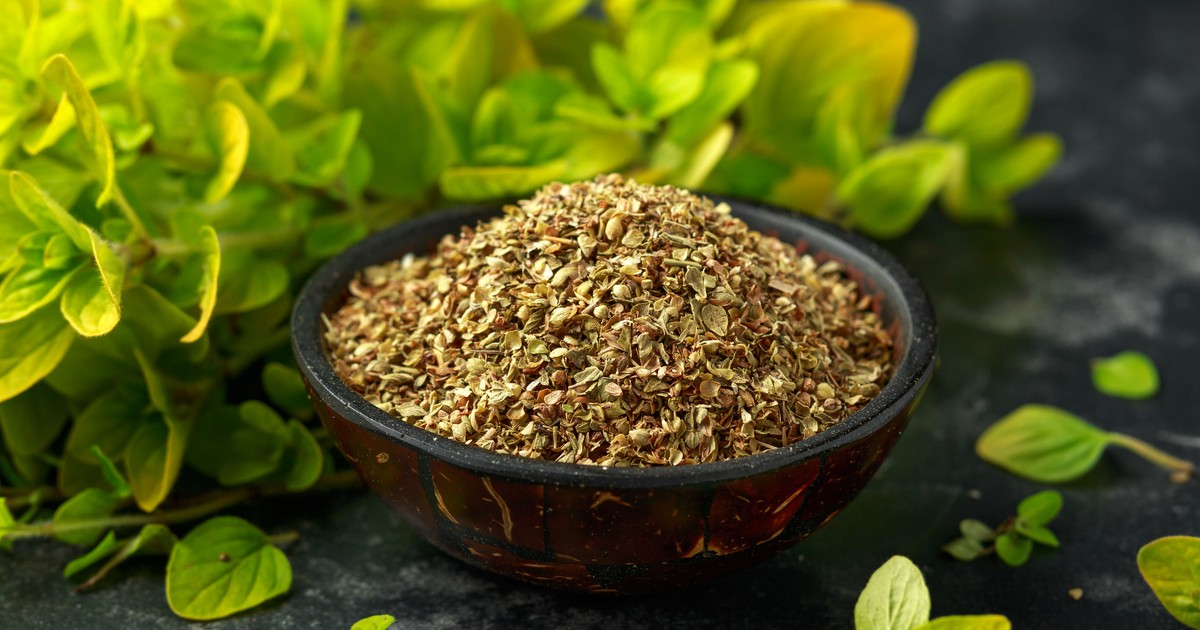 Oregano- beneficii