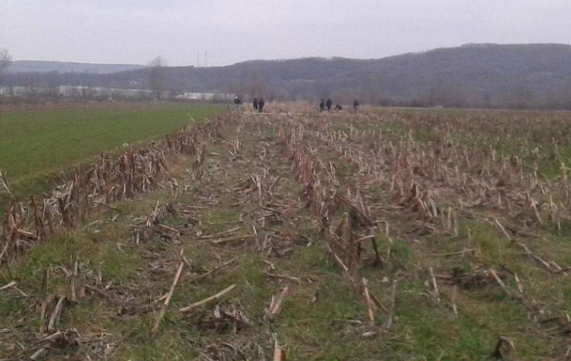 O turistă din Germania s-a rătăcit prin România și a rămas și fără acte. Ea a fost găsită pe un câmp. Cum s-a terminat coșmarul femeii