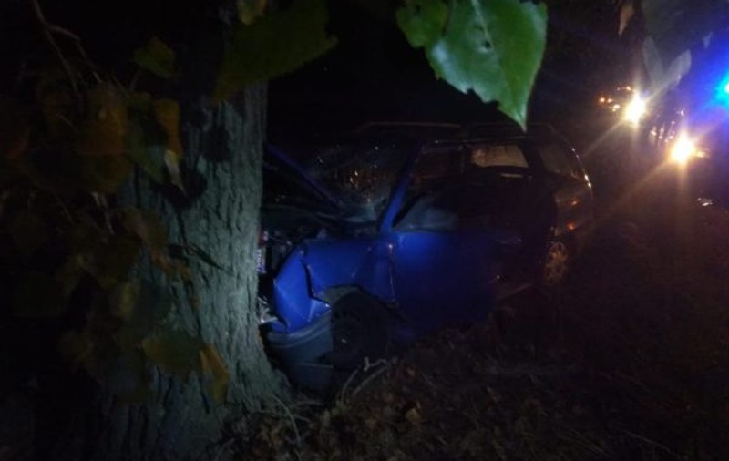 Accident cu mai mulți răniți lângă Arad. Trei copii și o gravidă au avut de suferit