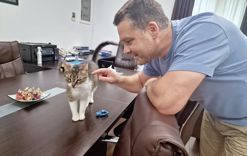 Ciprian Ciucu a decis ce va face cu Jessy, pisica vedetă de la Primăria Sectorului 6: „Da, m-am gândit bine!”