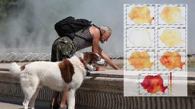 Colaj mitus - canicula (8)