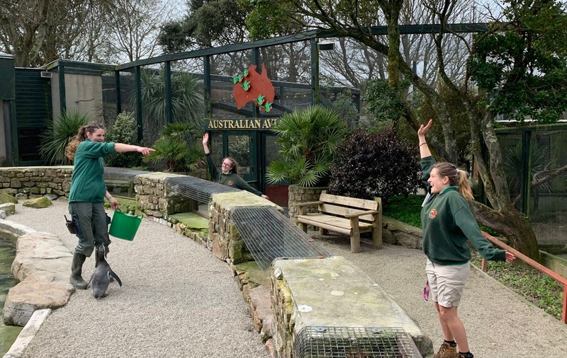 Îngrijitorii de animale din Marea Britanie s-au autoizolat în grădinile zoologice în care lucrează ca să poată avea grijă de animale