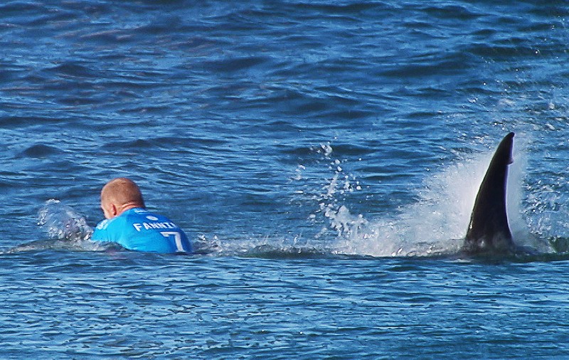 Un campion mondial la surf a fost atacat de un rechin | GALERIE FOTO & VIDEO