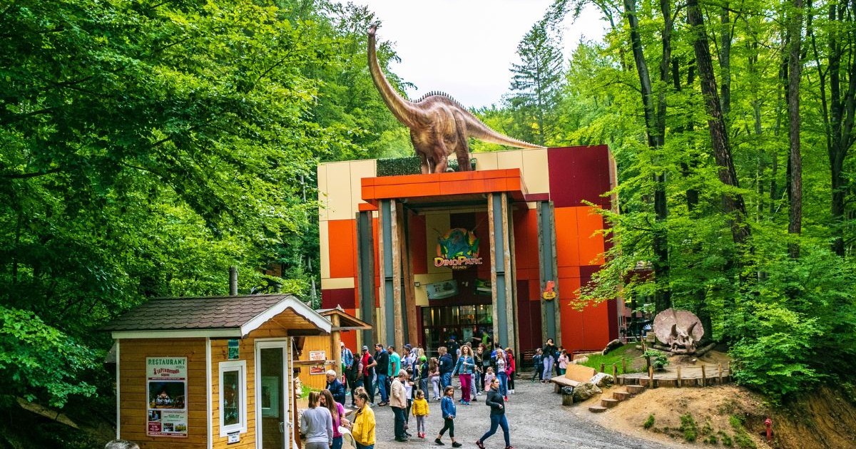 intrarea în parcul tematic Dino Park din Râșnov, situată în mijlocul unei păduri dese, flancată de copaci înalți cu frunziș bogat. Elementul central este o clădire masivă cu o fațadă plană, fragmentată în panouri dreptunghiulare, a cărei intrare principală este încadrată de stâlpi groși de susținere și un logo cu text amplasat deasupra ușilor de acces. Pe acoperișul plat al acestei structuri tronează o statuie de dimensiuni impunătoare a unui dinozaur cu gâtul foarte lung și coada prelungă. În fața clădirii se întinde o zonă de acces lată, puternic animată de un grup numeros de vizitatori, format din adulți și copii care se deplasează sau stau de vorbă. În prim-planul din partea stângă este amplasată o mică gheretă din lemn cu acoperiș în două ape, prevăzută cu o fereastră și afișe, în fața căreia staționează câteva persoane. În partea dreaptă a imaginii, pe un mic dâmb de pământ mărginit de un gărduleț din lemn și trepte rustice, se distinge o altă statuie, reprezentând un craniu masiv de triceratops ieșind din decorul natural.