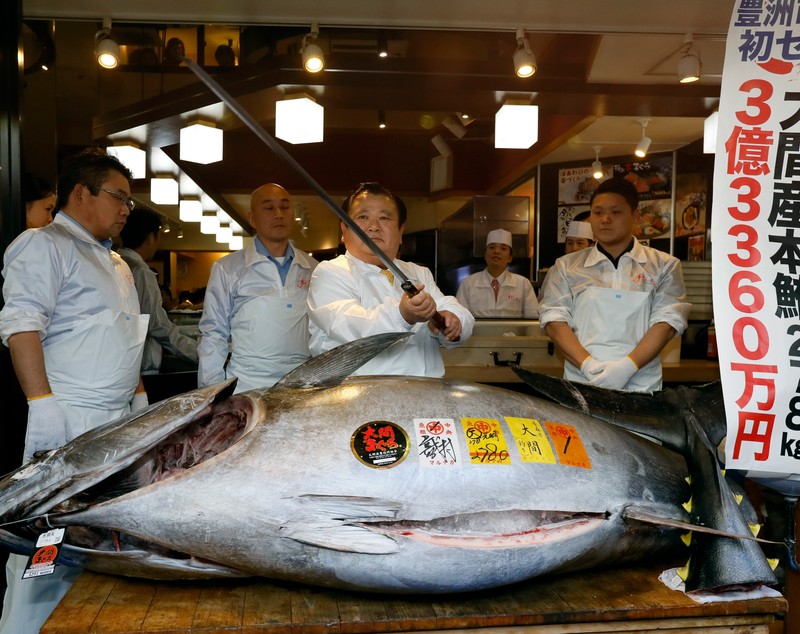 Un ton uriaș a fost cumpărat în Japonia. Prețul colosal, plătit de un magnat pentru peștele de aproape 300 de kilograme / FOTO&VIDEO