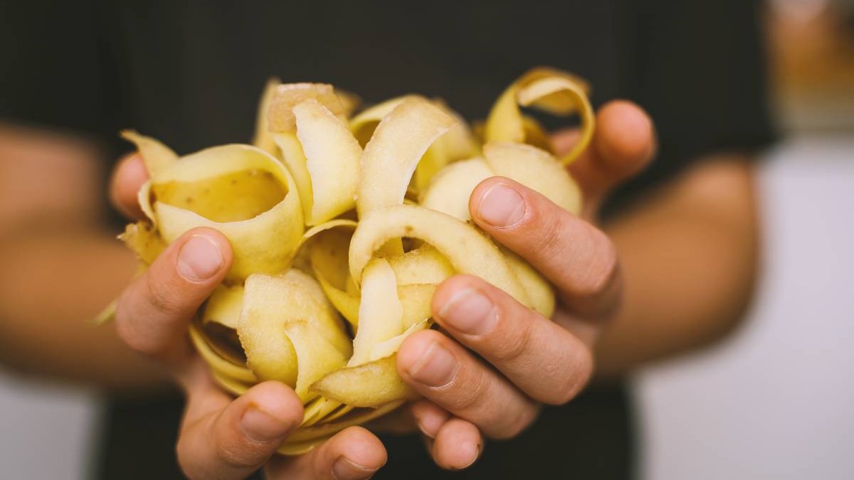 Coji de cartofi și legume în mâinile copiilor. Concept de compost, reciclarea deșeurilor alimentare. Copil ținând în mână resturi de legume.