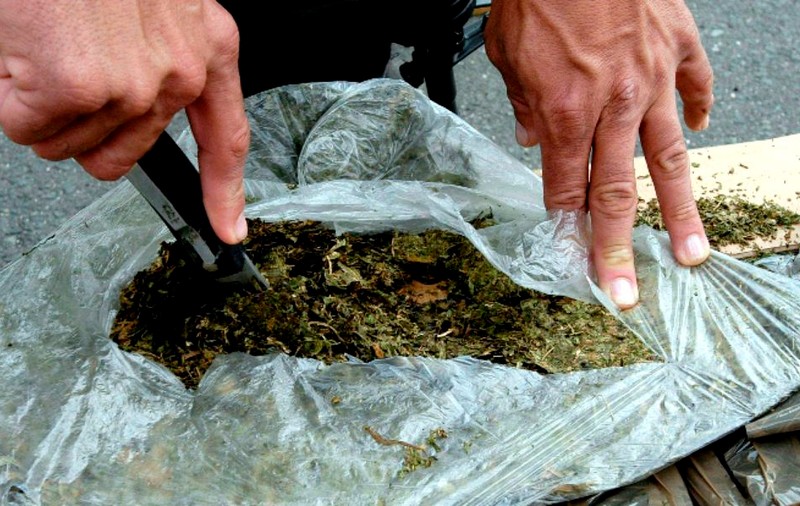 Traficanţi români de marijuana prinși în Spania, după un accident în care nu erau implicaţi