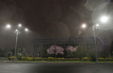 Arhiva foto