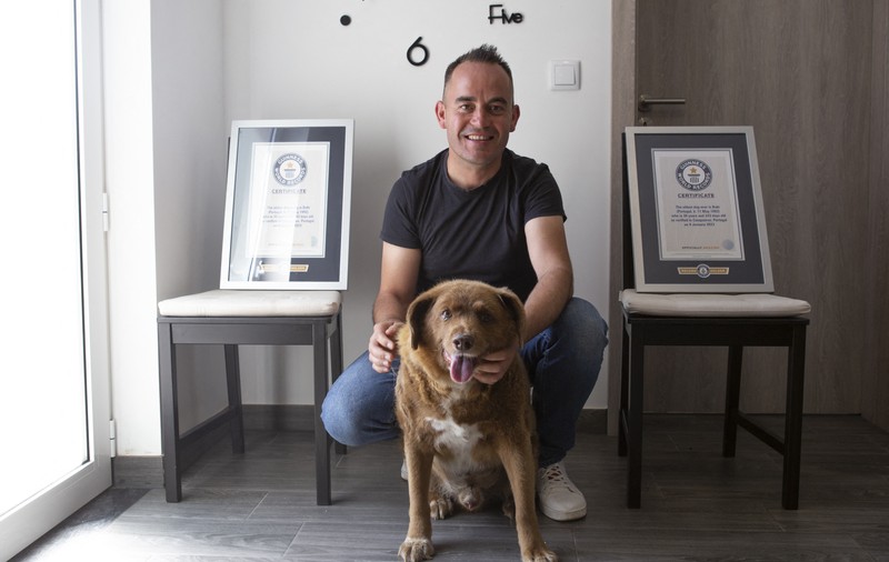 A murit cel mai bătrân câine din lume. Bobi avea 31 de ani și trăia în Portugalia | FOTO