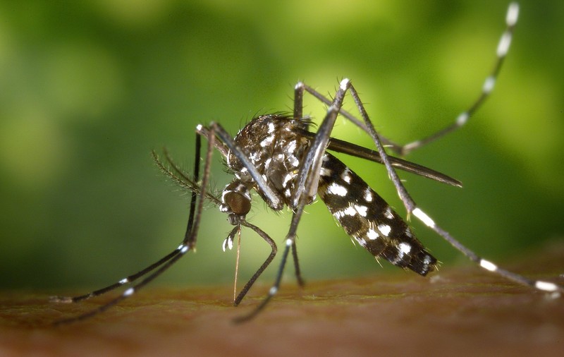 Europa este expusă bolilor infecțioase exotice și virusurilor zombi, din cauza schimbărilor climei