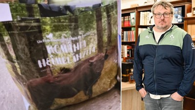 punga-romania-neimblanzita-uitata-talhari-spargere-magazin-bauturi-austria