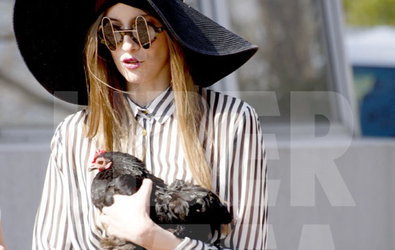 EXCLUSIV/ Iulia Albu șochează cu un nou animal de companie! Vezi cum îl sărută cu foc, direct în cioc!