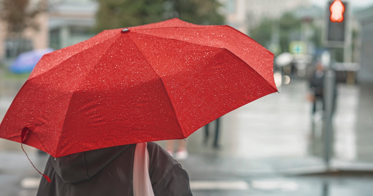 În imagine este ilustrată o persoană care ține o umbrelă roșie pe timp de ploaie