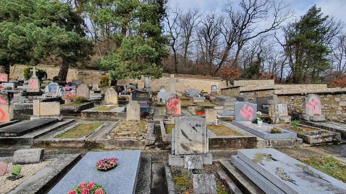 Arhiva foto