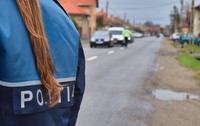 Mai multe autoturisme oprite pe margine unui drum dintr-un sat, sunt verificate de un polițist. În același timp, o polițistă dirijează circulația
