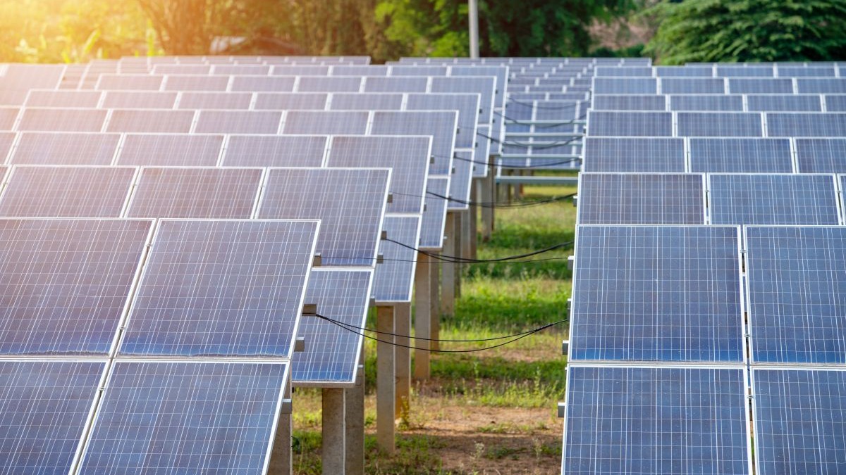 Panouri fotovoltaice instalate pe un câmp, unde se vede iarba verde, iar din stânga bate o rază de soare