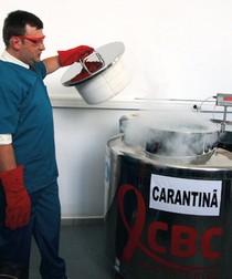 Arhiva foto