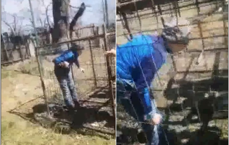 Imagini dure: copil băgat în cușcă și lovit cu bețe de colegi, la o școală din Bacău. Imaginile, publicate de tatăl său