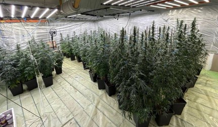 Investigațiile au fost declanșate în urma unei sesizări formulate de către Serviciul Județean Anticorupție Dâmbovița. Foto: Poliția Română