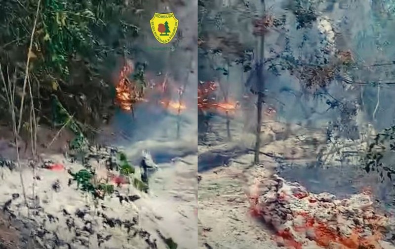 Incendiu în zona Plauru din Tulcea: MApN trimite specialiștii EOD după ce localnicii au anunțat că flăcările ar fi izbucnit de la o dronă