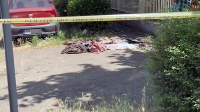 Cadavrul fals de la Ploiesti