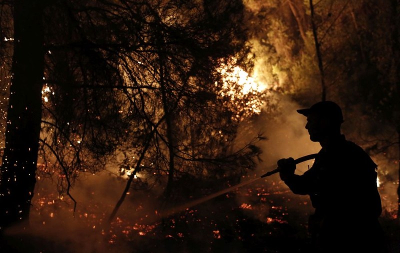 Incendii de vegetație în insula Evia din Grecia. Mai multe localități au fost evacuate / VIDEO